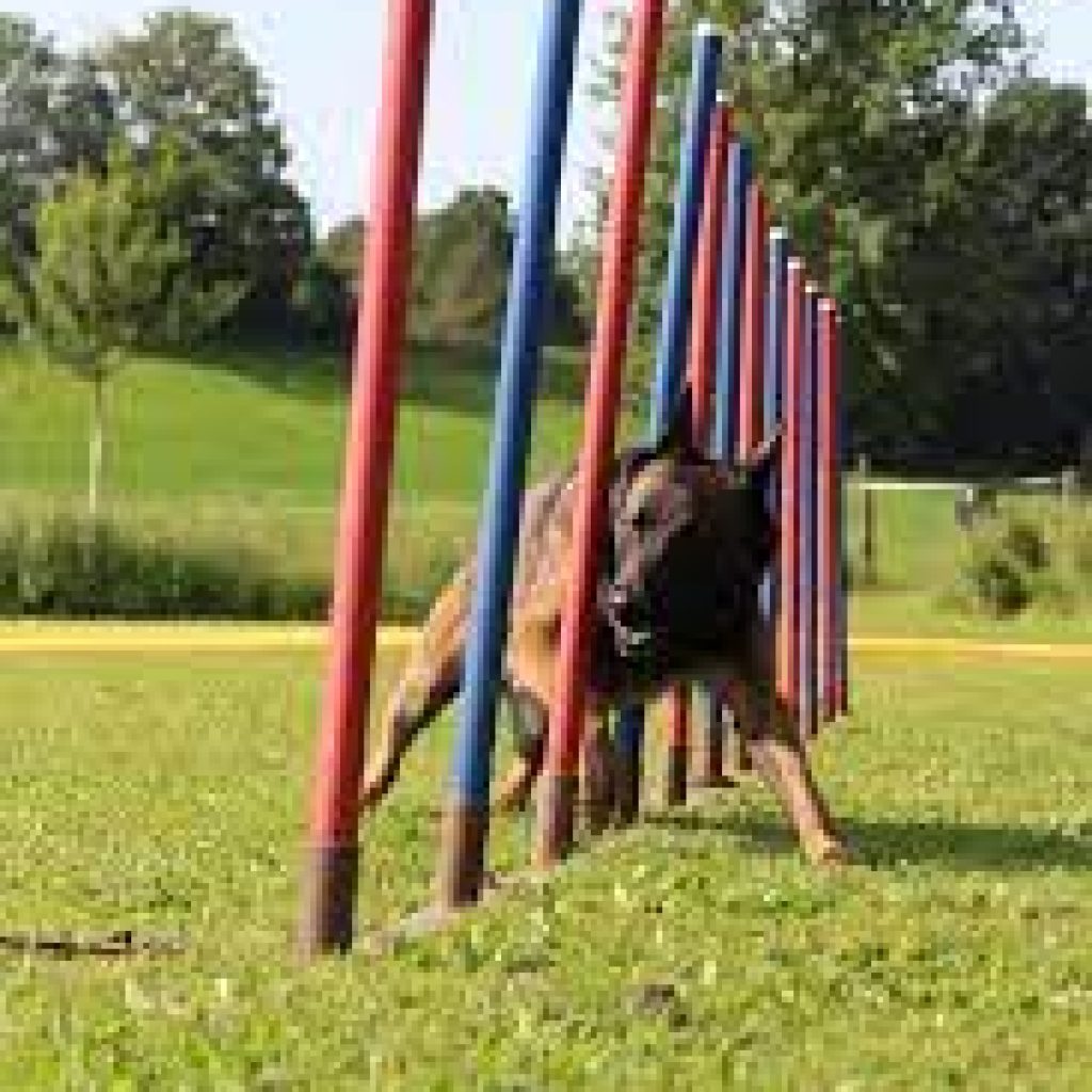Slalom